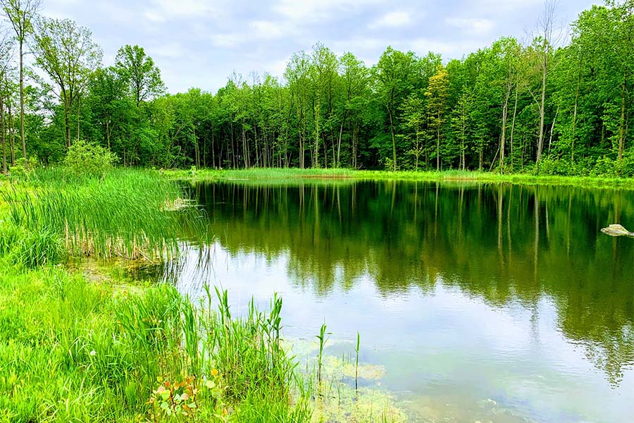 Blog - View Of Small Lake In Portage Indiana On Summer Day